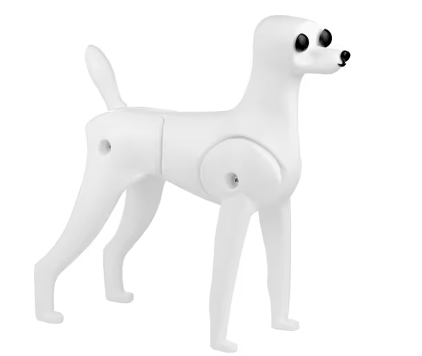 Mr. Jiang Teddy Model Dog - manichino cane- senza pelliccia