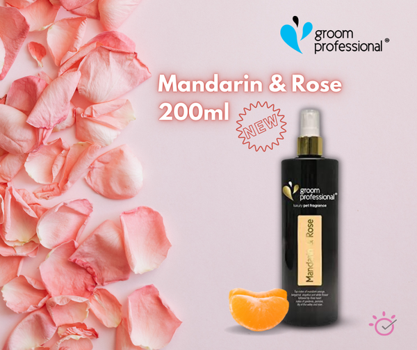 Groom Professional Exclusive Mandarin & Rose Fragrance 200ml